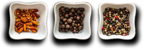 Le Comptoir de l'inde