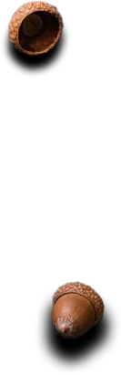 Le Comptoir de l'inde