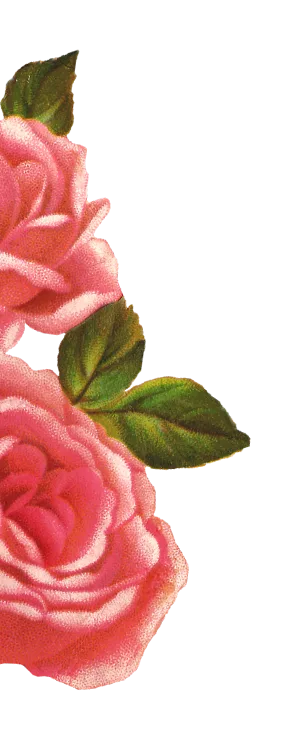 flower graphic