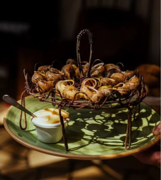 Restaurant à Perpignan : grillades au feu de bois, cuisine maison