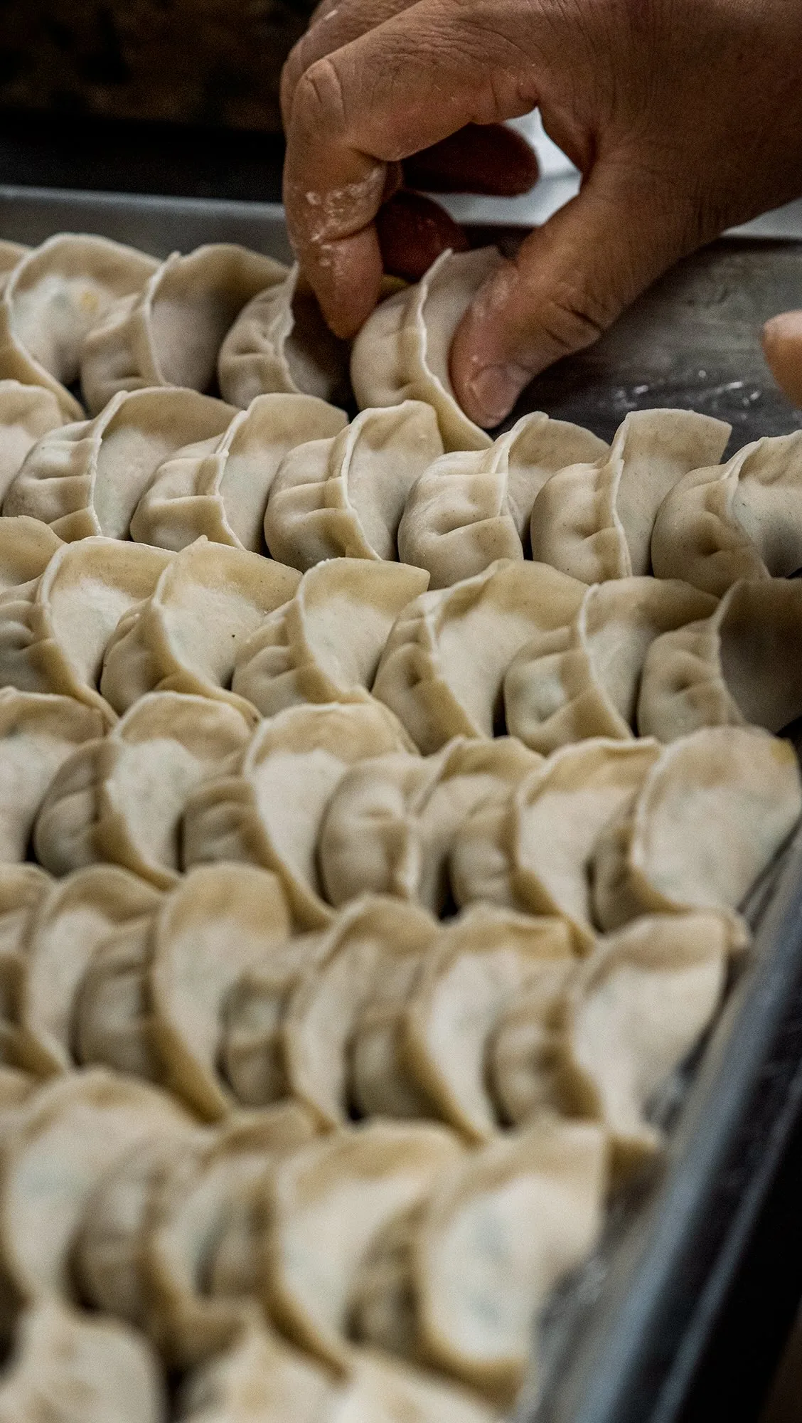 Each gyoza is carefully stuffed and folded to ensure high quality in every bite.