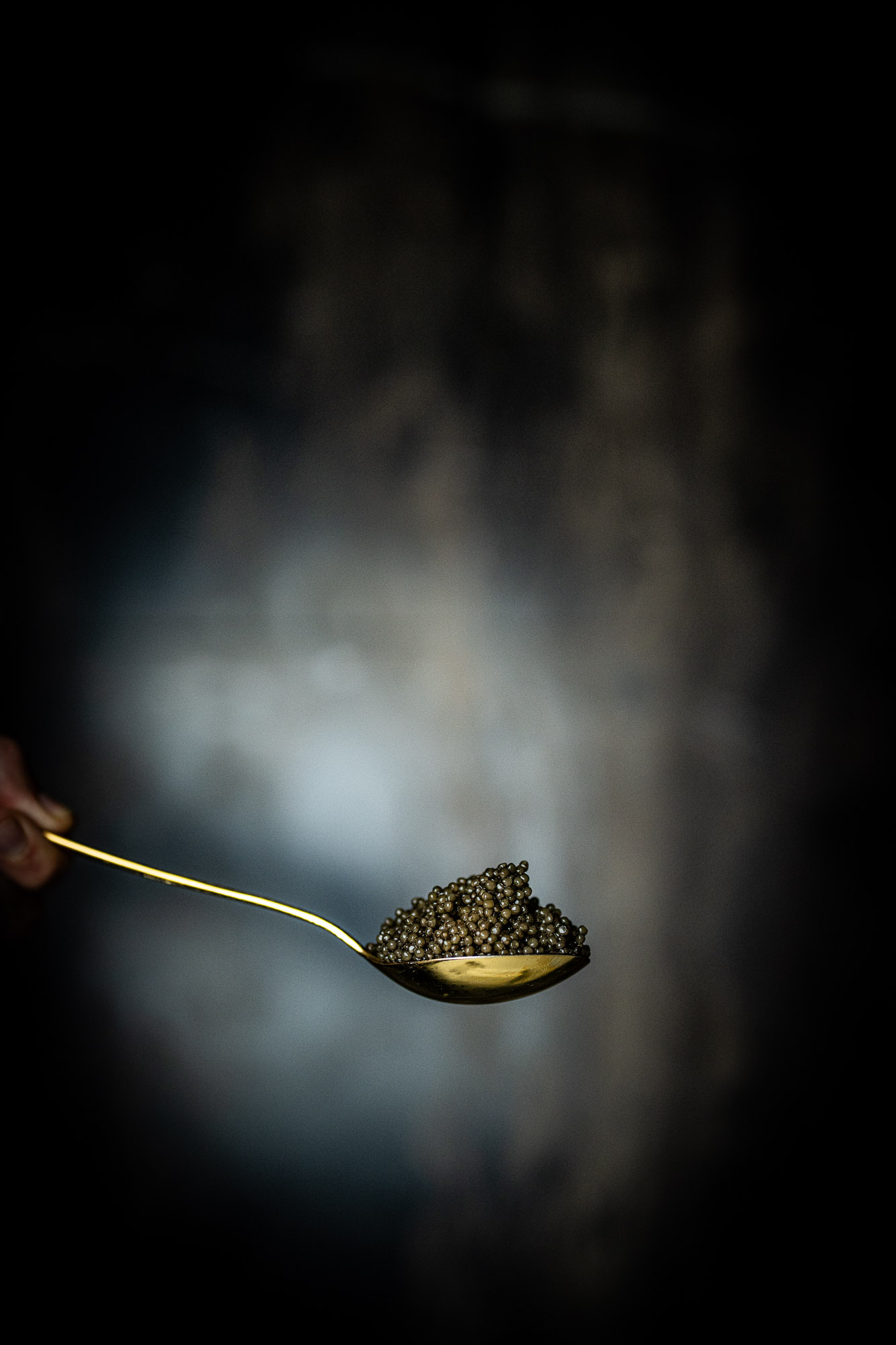 CAVIAR 30 GRAMS <span>95</span>
