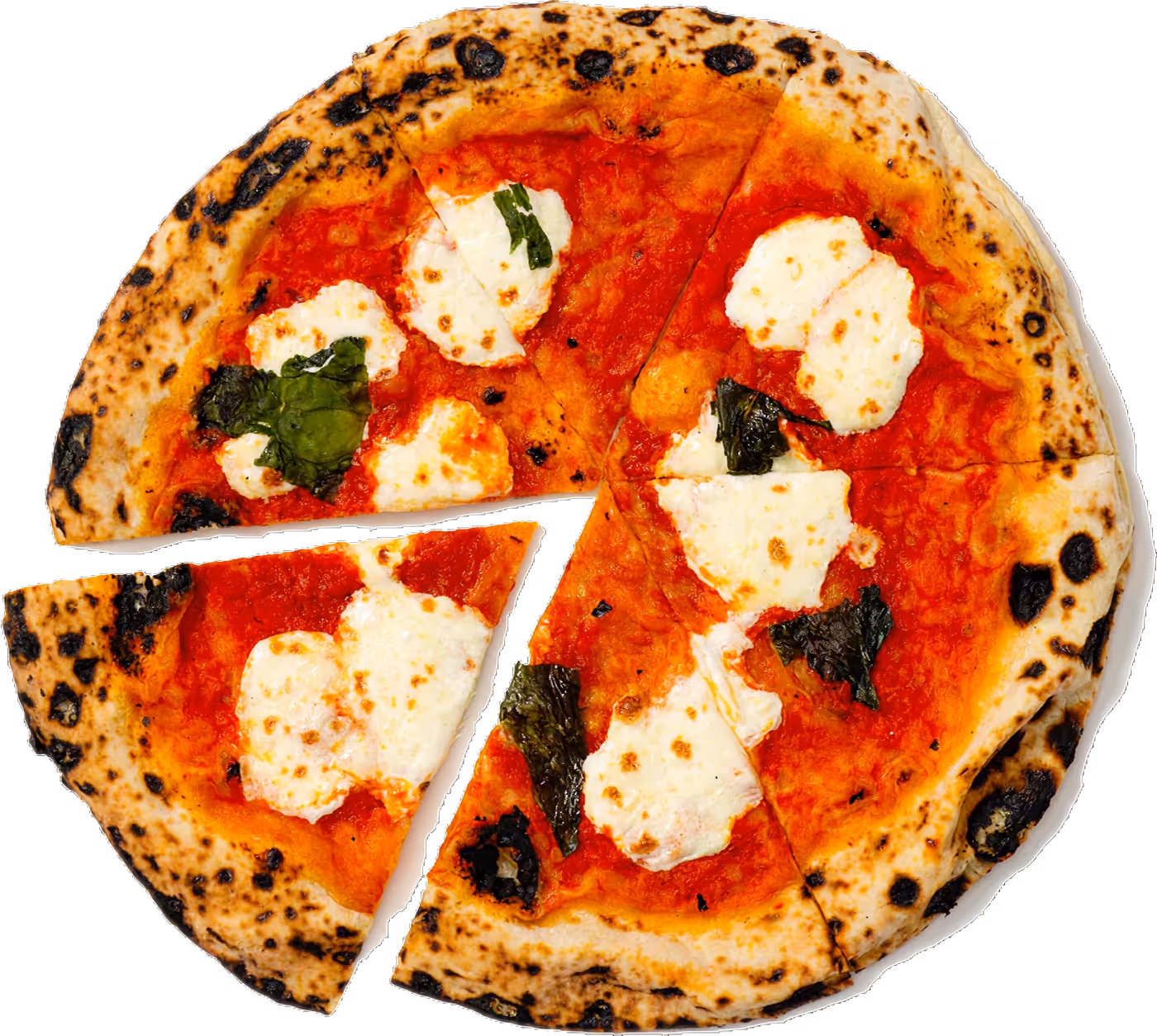 Neapolitan pizza with tomato sauce, melted mozzarella cheese, basil leaves, and one slice slightly separated.