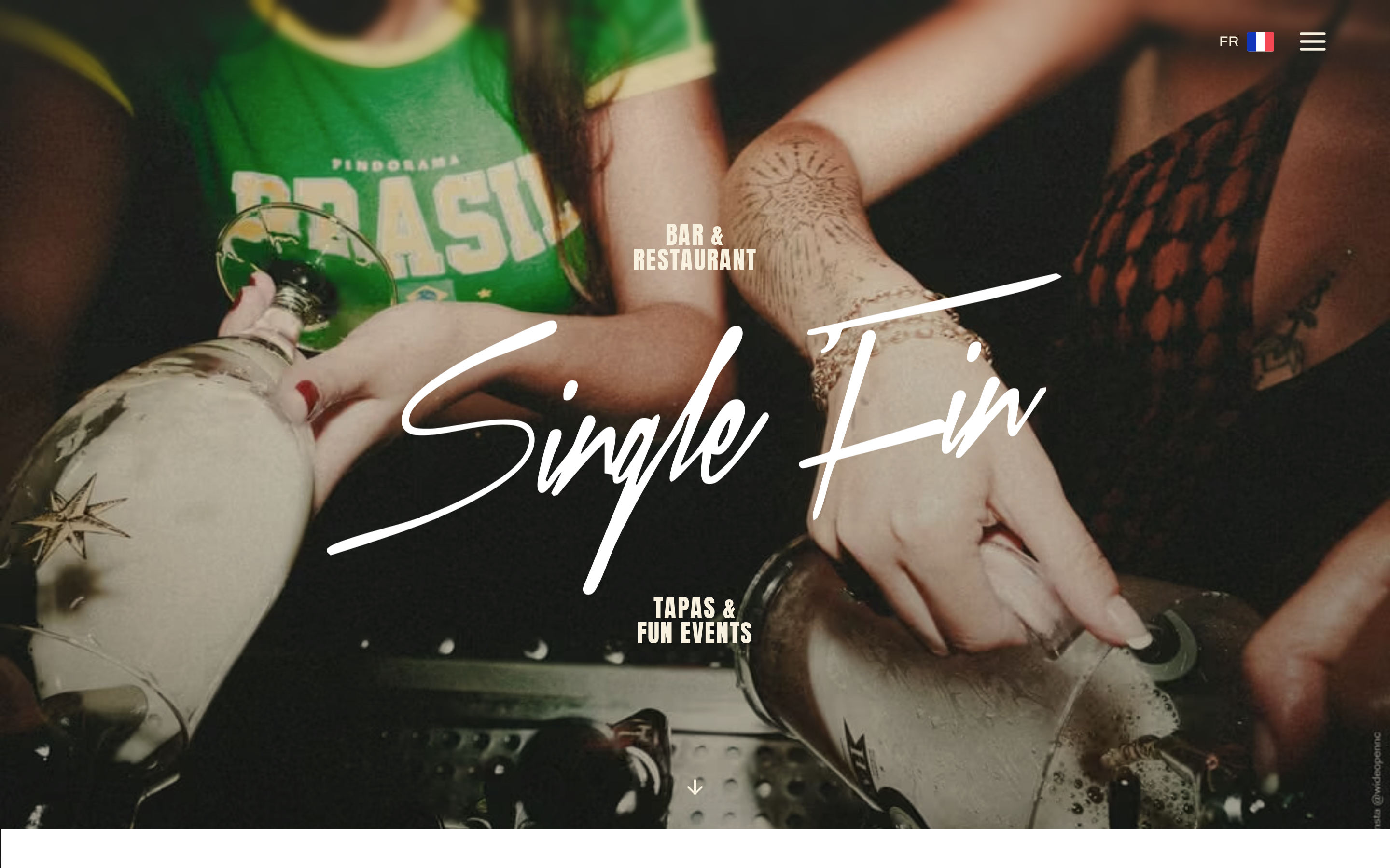singlefin.nc desktop